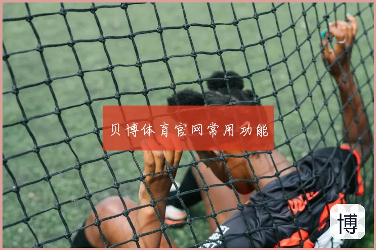 贝博体育官网常用功能
